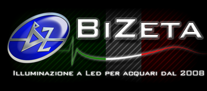Bizeta di Giacobazzi Elvis